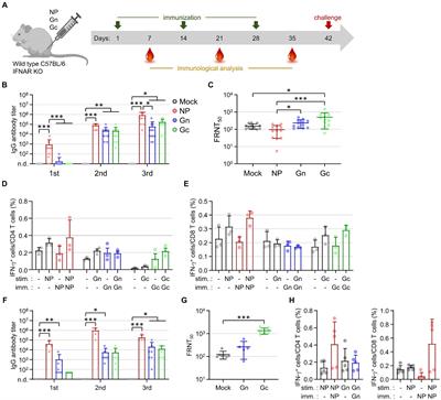 Comparative analysis of the efficacy of vaccines using structural protein subunits of the severe fever with thrombocytopenia syndrome virus